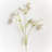 Silk Daisy Arrangement-70116138