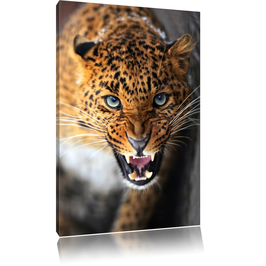 Leinwandbild Fauchender Leopard