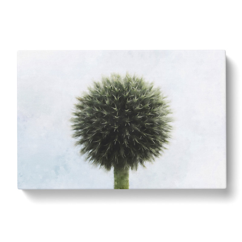 Thistle Flower Vol.3 - Wrapped Canvas Print, 40cm H x 60cm W x 3cm D