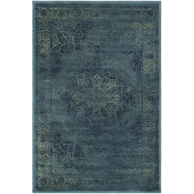 Evanoff Oriental Blue/Multi Area Rug