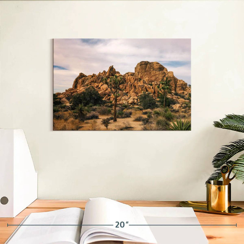 Nicci Joshua Tree, scène de désert, H 8 po x l 12 po