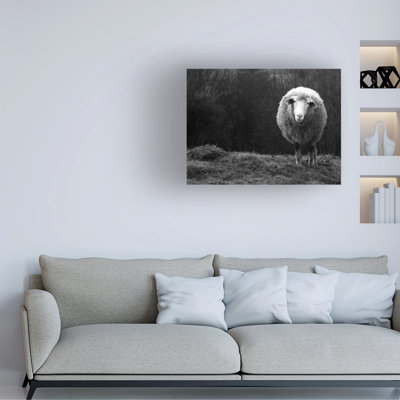 Wrapped Canvas Wall Art - Ajven 'Wondering Sheep' Wall Art for Living Room, Bedroom, or Office Décor - 14x19