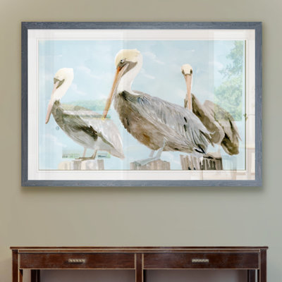 " Soft Brown Pelican III "