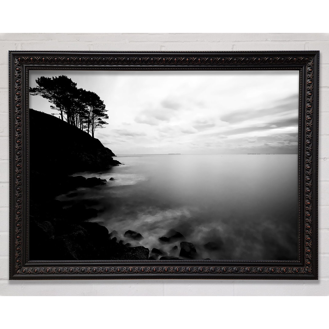 Gerahmtes Poster Tree Top Ocean Calm B N W