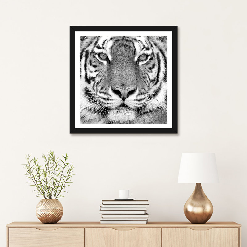 " Tiger " by PhotoINC Studio, 24" H x 24" W x 1" D, Black Framed Fine Art Paper