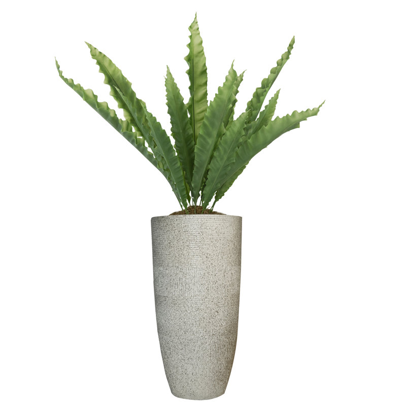 Faux Yucca Tree in Fiberstone Planter, 46" H x 24" W x 24" D