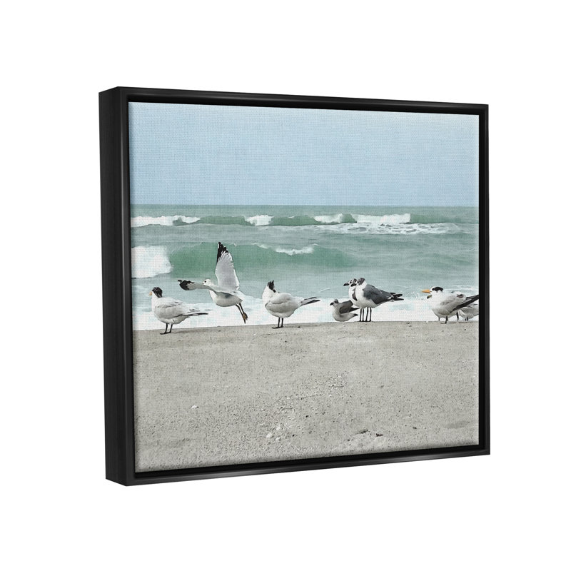 Dovecove, Cadre flottant noir de jais, H 17 po x l 21 po x P 1,7 po