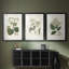 Antique Turpin Botanical IV - reproduction sur mesure encadrée de qualité supérieure - 3 pièces-1991838977-1991838978