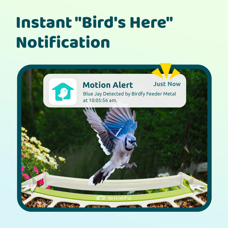 Mangeoire d'oiseaux intelligente en métal Birdfy