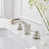 Brushed Nickel selected