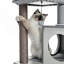 Maison dans un arbre à chat 35 po en bois avec 2 condos, perchoir spacieux et boule pendante remplaçable 35 po-1173083461