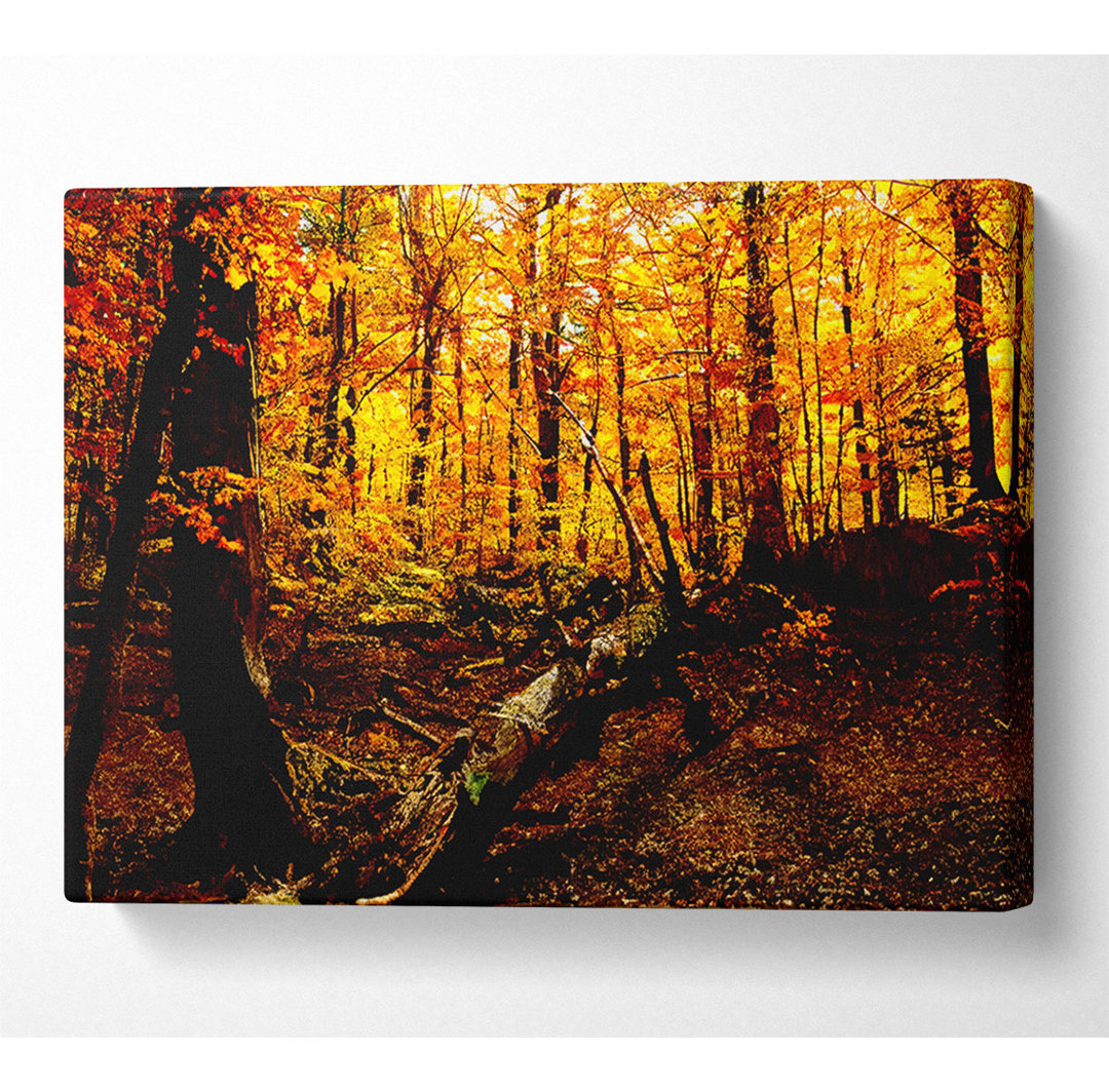 Autumn Forest Seat - Kunstdrucke auf Leinwand