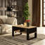 Shamanique Four Leg Coffee Table with Storage-175972099