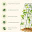 Treillis de jardin Classic