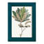 Fall Foliage VI, reproduction d'art encadrée-90582668-90582664