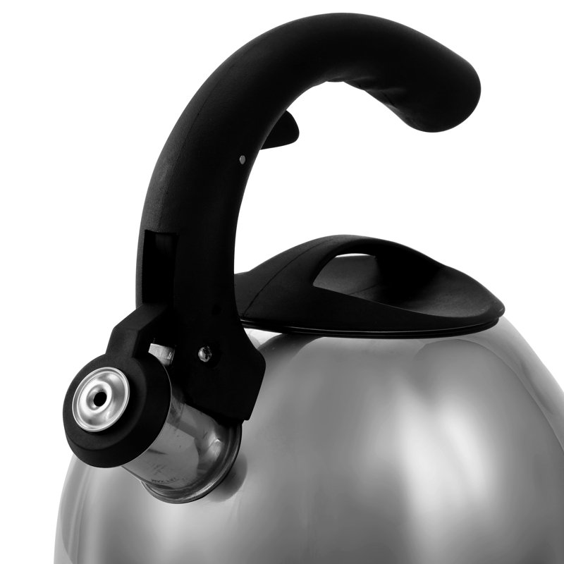 Mr. Coffee Stainless Steel Stovetop Kettle