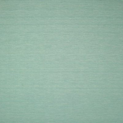 Tapis de zone vert contemporaine
