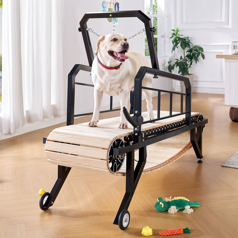 Dog Treadmill with Hand Brake – Supports Dogs Up to 300lbs, 19" W