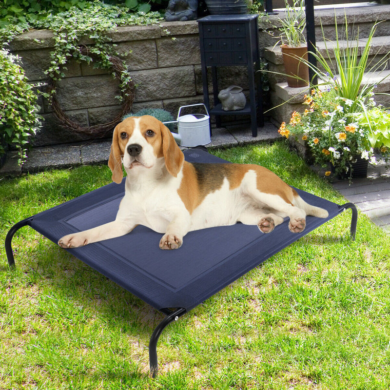 Kristine Polyester Pet Bed