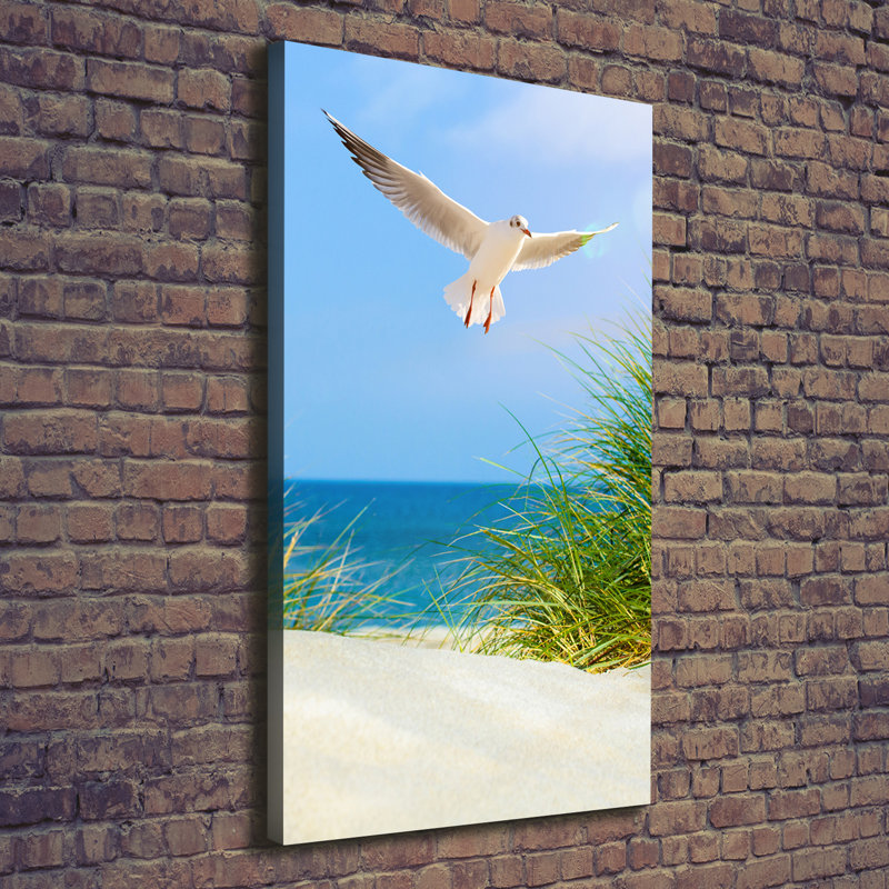 Seagull Above The Dunes - Wrapped Canvas Print