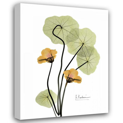 «Red Barrel Studio® Koetsier, Albert Gallery, art sur toile tendue: Capucine en jaune 2