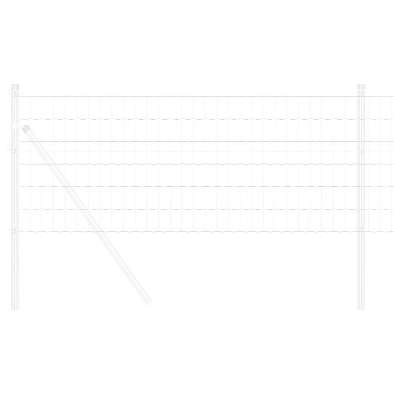 Border Fencing, 60 x 2500 x 0.2 cm