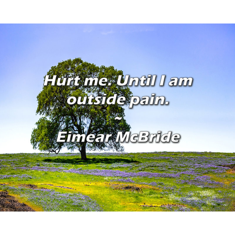 Citation d'Eimear McBride: «Hurt me. Jusqu'à ce que je sois à l'extérieur de la douleur.