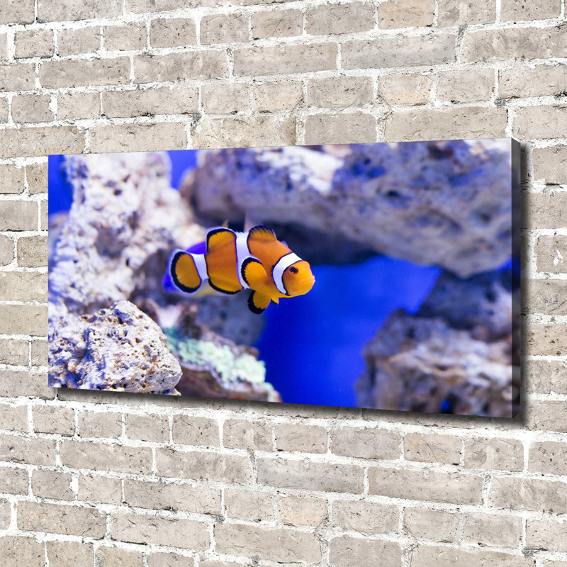Clown Fish - Wrapped Canvas Print