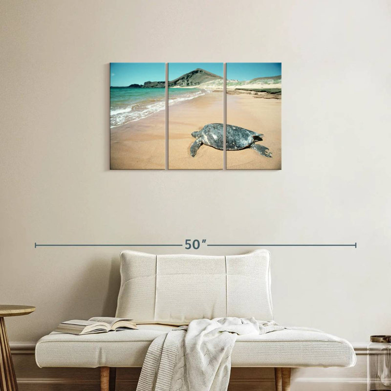 Brampt Galapagos Loggerhead Turtle, 20" H x 33" W