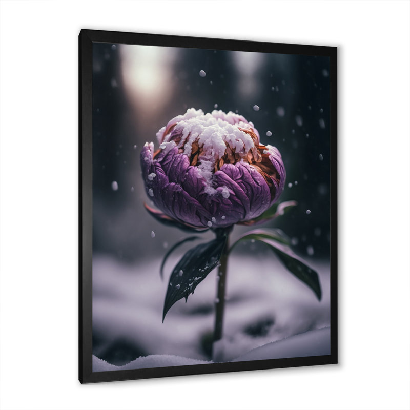 Une fleur de pivoine en hiver III - photographie sur toile, Impression noire sur toile encadrée, H 20 po x l 12 po x P 1 po
