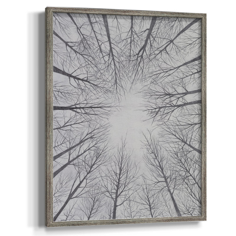 Deciduous Canopy II Framed Print - Solid Wood, 15" H x 12" W