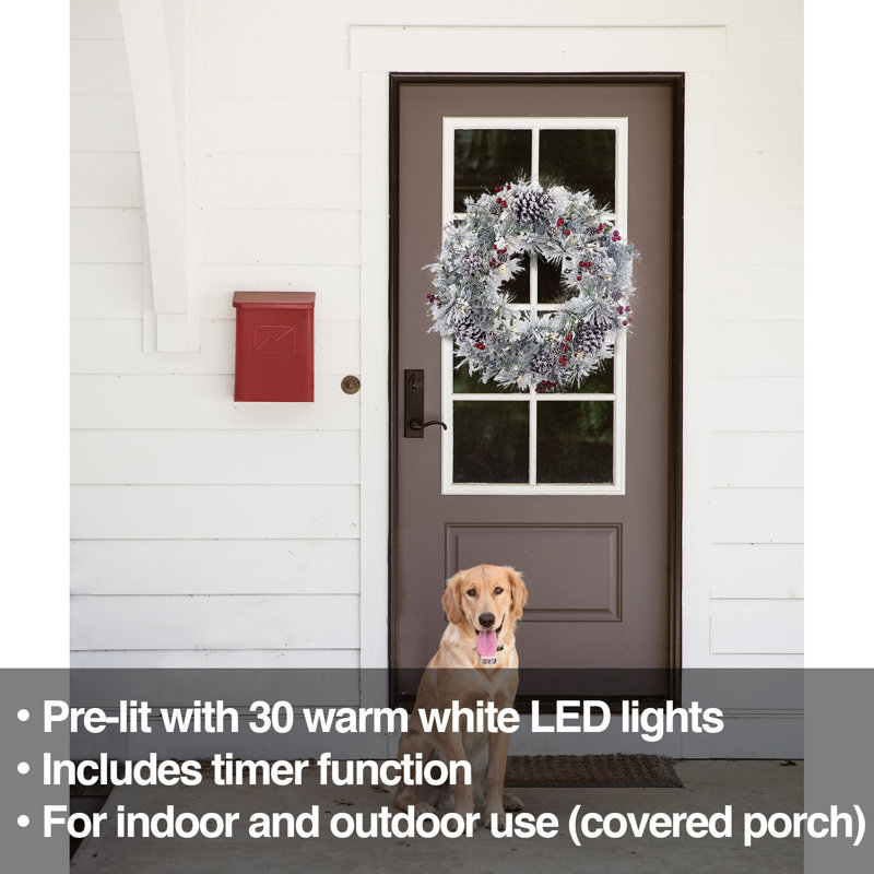 Lighted 24'' Wreath