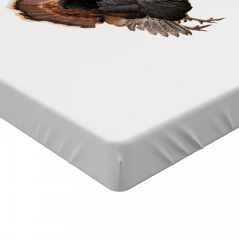Microfiber Fitted Sheet, Twin Fitted Sheet