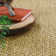 Volkman Jute/Sisal Maize Area Rug