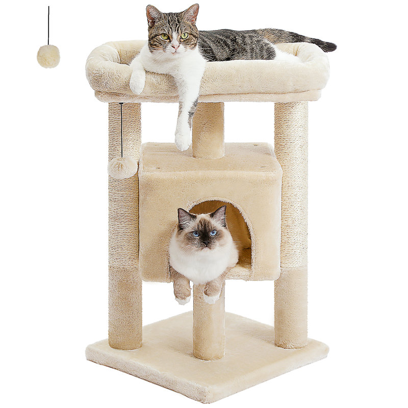 Arbre à chat, Beige
