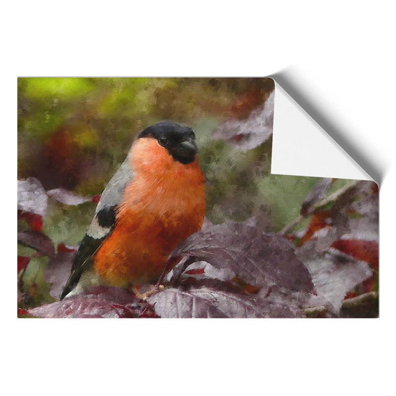 Bullfinch Bird - No Frame Print, 21cm H x 30cm W x 0.1cm D