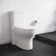 Monaco One-Piece Elongated Toilet Dual Flush 1.1/1.6 gpf with 10" Rough in