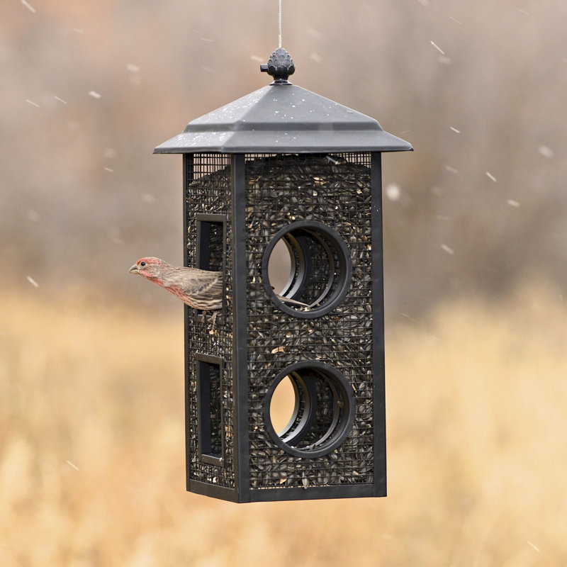Black Metal Fly-Through Hanging Wild Bird Feeder