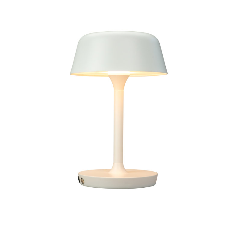 Metal Novelty Lamp