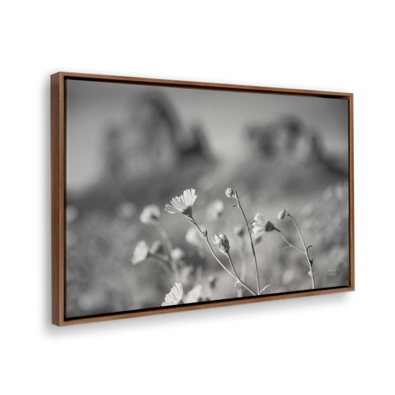 «Pinnacle» par Nathan Larson, reproduction d'art, 36 W x 24 H, Brown, Framed Canvas