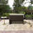 Double Chaise Lounge With Adjustable Back And Cushions-2104425022