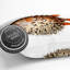 Balloon Fish Square Throw Cushion-56243136
