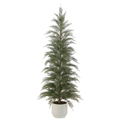 4' Cedar Tree