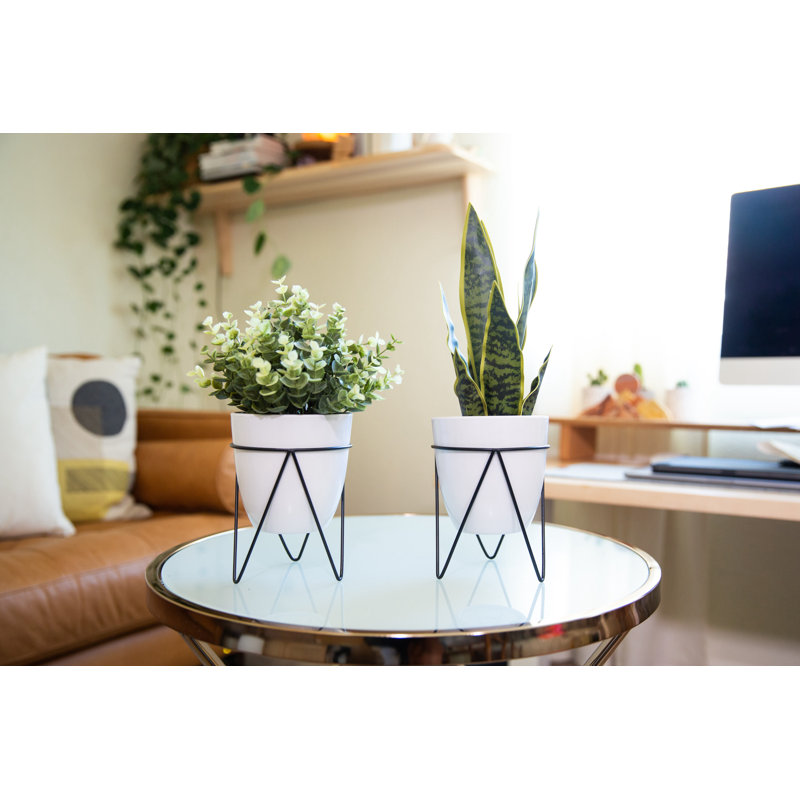 12'' Faux Eucalyptus Plant in Ceramic Pot