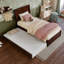 Lit gigogne en bois massif Avdesh-17206720-17206589