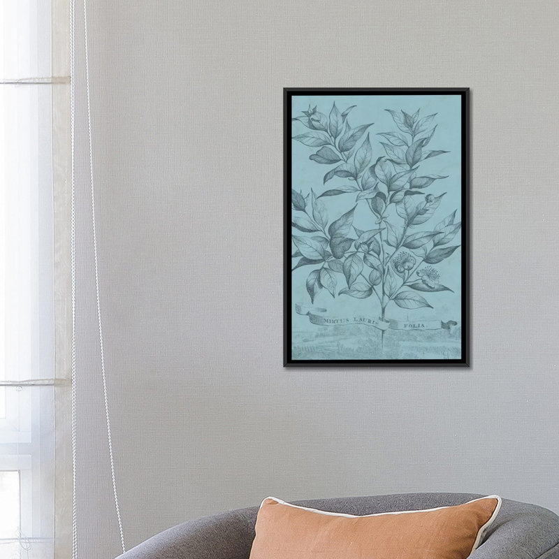 «Botanical on Teal I», impression sur toile, H 26 po x l 18 po x P 1,5 po, Toile avec cadre noir