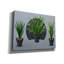 «George Vases Of Vector Plants» par Momart, art mural George George, 16 po x 12 po-1176878910