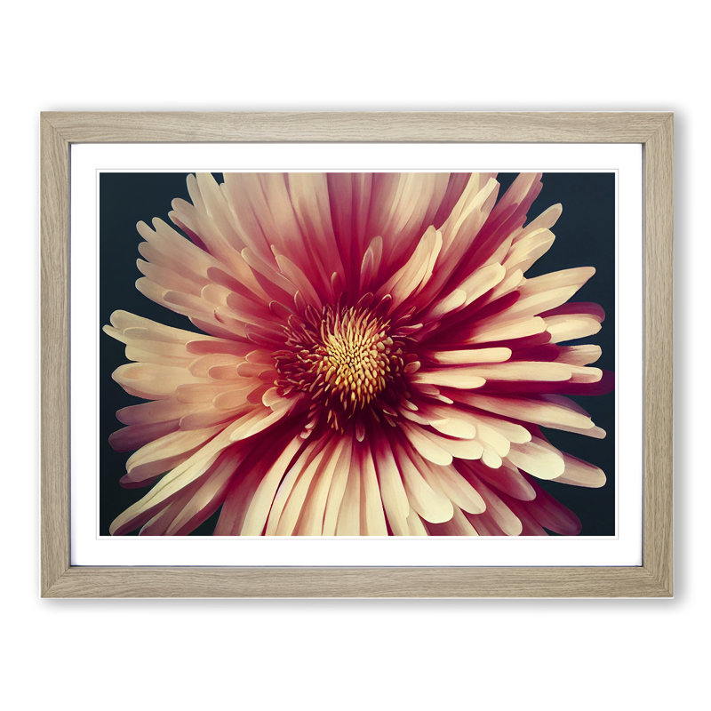 Fancy Chrysanthemum Flower 1 Piece Single Picture Frame Wall Art, 46cm H x 64cm W x 2cm D, Oak