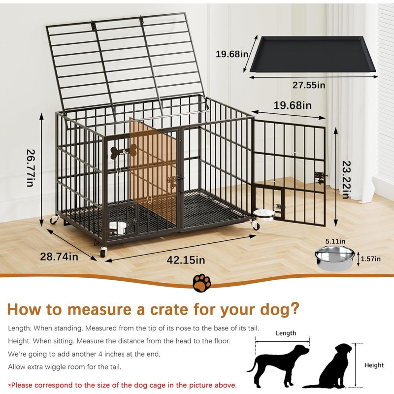 Cage pour chien
