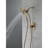 Ashlyn 17 Series Dual-Function Shower, In2ition Shower Handle Trim Kit-114043070